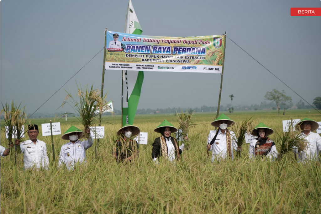 screenshot_2022-08-31_at_14-03-04_penjabat_bupati_pringsewu_panen_raya_perdana_di_ambarawa_barat