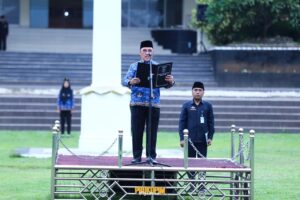 IMG-20240219-WA0054