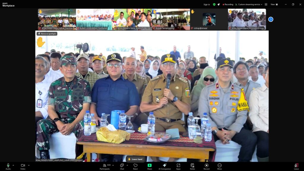 Petani Lampung Sambut Gembira Panen Raya, Pemerintah Pastikan Harga Gabah Menguntungkan