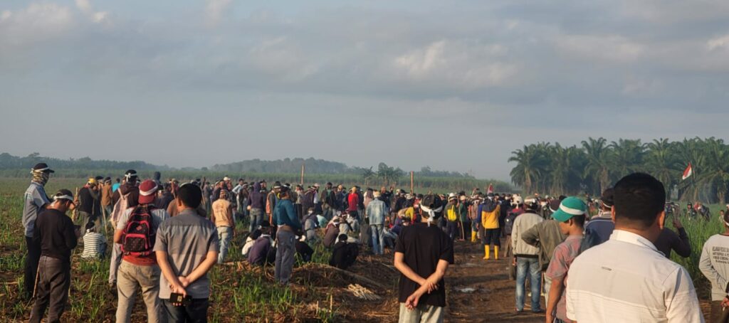 Warga Tiga Kampung di Lampung Tengah Tanam di Lahan BSA, Klaim Tanah Adat 807 Hektare