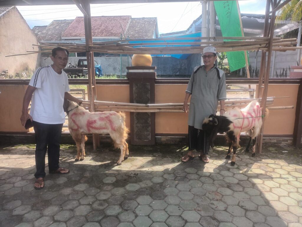 “Rayakan Idul Adha 1447 H” DKM Al-Ikhlas Waykandis Sembelih 3 Sapi 23 Kambing Qurban